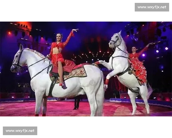 惊！钢丝上 “跑步”？迪达马戏场爆笑表演险象环生，危险动作切勿模仿！